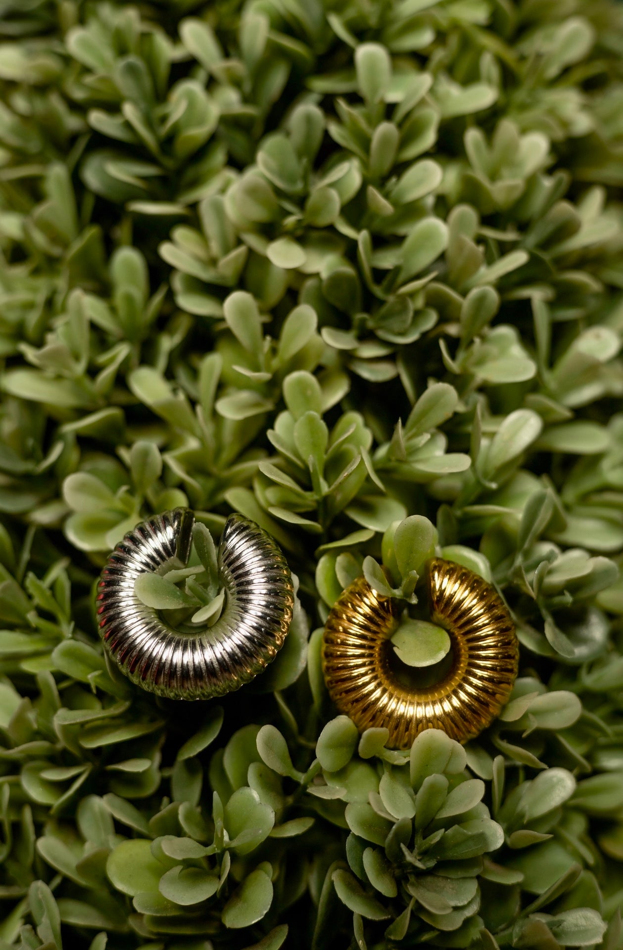 Pookie Cuff Earring